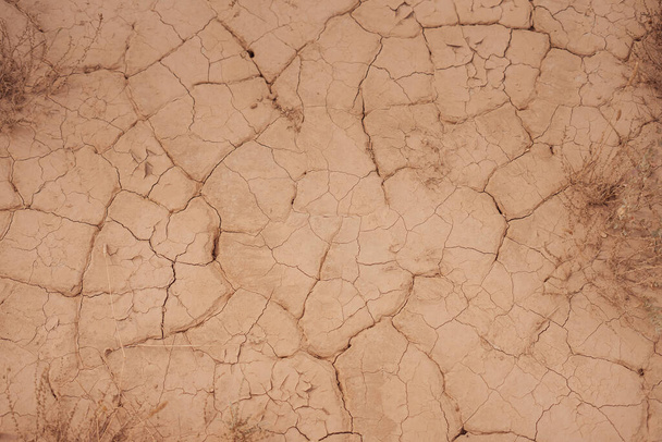 Трещина в текстуре грязи с сухой растительностью сверху - Фото, изображение