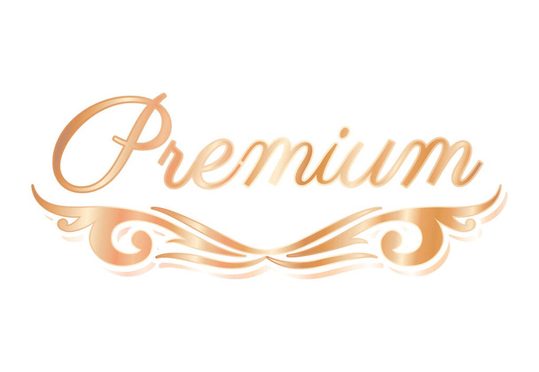 premium with divider ornament gold vector design - Διάνυσμα, εικόνα