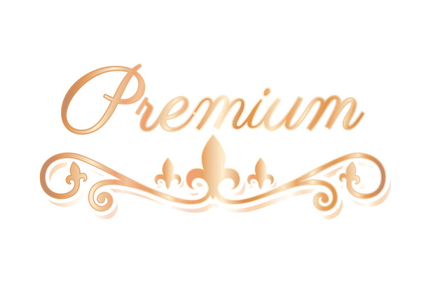 premium with divider ornament gold vector design - Διάνυσμα, εικόνα