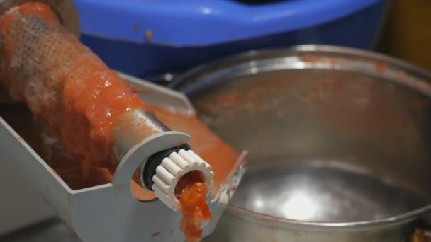 Elaboración de zumo de tomate fresco casero con máquina eléctrica. Separación de la corteza y las semillas del jugo de tomate. - Metraje, vídeo