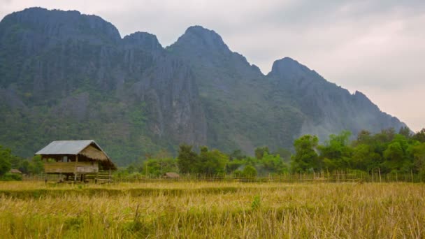 Video 1920x1080 - Wood watch's house on the empty rice field. Laos - Materiaali, video