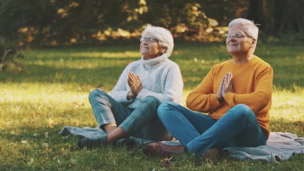 Älteres Ehepaar meditiert an Herbsttag im Park - Filmmaterial, Video