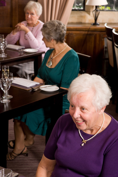 Старшие дамы в ресторане
 - Фото, изображение