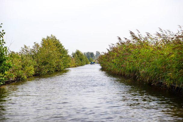 Grünes Schilf wächst entlang des Kanals, der zu einem See führt, Foto aus den Niederlanden an einem bewölkten Sommertag in der Ferne ein Boot mit Menschen. - Foto, Bild