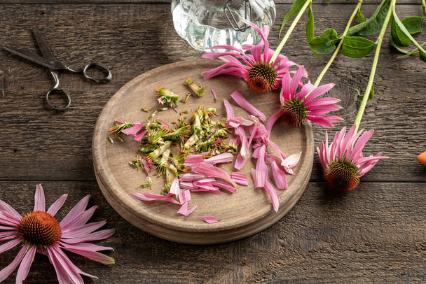 Cut up echinacea flower - preparation of homemade herbal tincture - Foto, Imagem