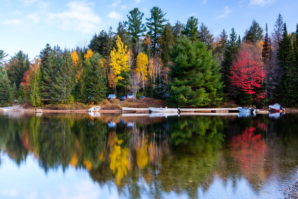 Krásná kanadská krajina: Zelený, žlutý a červený strom odrážející se v jezeře - Fotografie, Obrázek