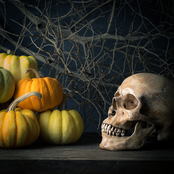 still life pumpkins - Foto, afbeelding