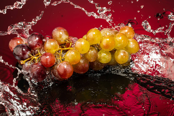 sweet grapes red globe on a branch on a gradient background with reflection - Foto, Imagen