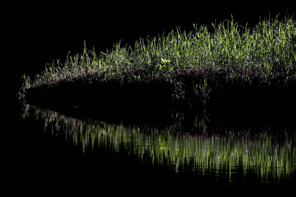 Πράσινο γρασίδι και αντανάκλαση σε μαύρα νερά - Φωτογραφία, εικόνα