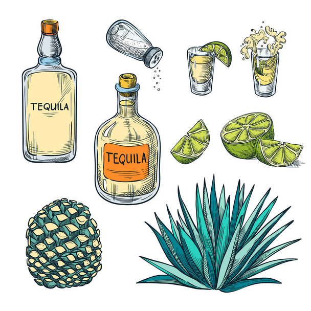 テキラボトル、ショットグラス、アガベ根成分、ベクトルカラースケッチイラスト。メキシコのアルコール飲料メニューのデザイン要素. - ベクター画像