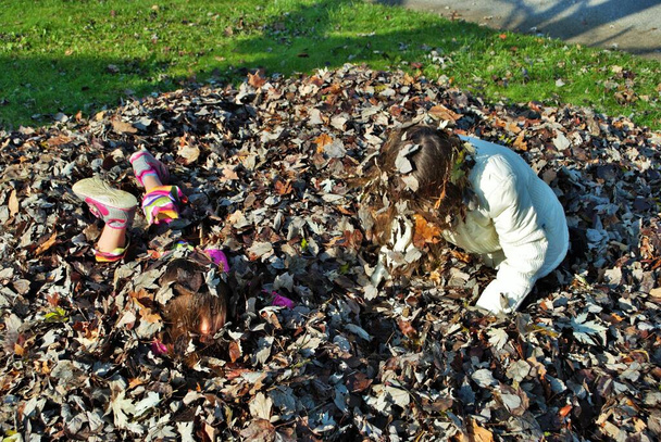 若い女の子が葉の山で遊んでいて - 写真・画像