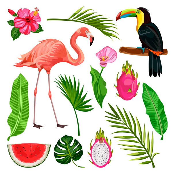 Summer tropical design elements set, isolated on white background. Vector cartoon illustration of toucan, flamingo, palm leaves and dragon fruit. - Vektor, obrázek