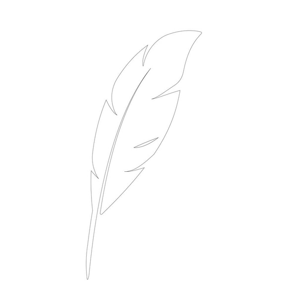 Feather ilustration  logo vector template - Vetor, Imagem