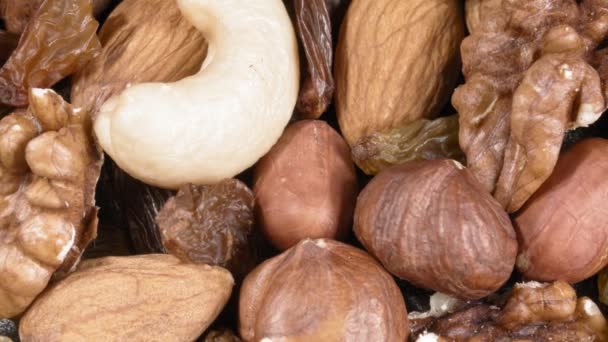 Een set van verschillende noten en rozijnen. Cashewnoten, hazelnoten, pinda 's, amandelen, walnoten en rozijnen. - Video