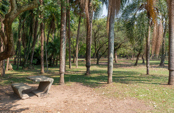 Cementbank en bomen in een park. - Foto, afbeelding