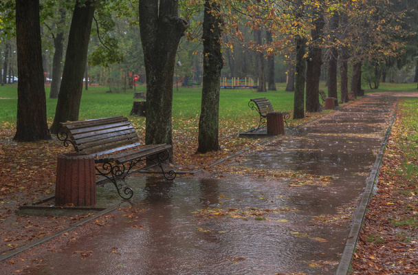 Promenade sous la pluie dans le parc d'automne. Boyarka ville. Région de Kiev, Ukraine. 17 octobre 2020 - Photo, image