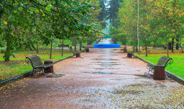 Wandern im Regen im Herbstpark. Bojarka-Stadt. Kiewer Gebiet, Ukraine. 17. Oktober 2020 - Foto, Bild