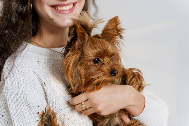 Chica sostiene perro marrón aislado sobre fondo blanco. Joven mujer atractiva con perro yorkshire terrier sonríe. Cierra la foto. Cuidado de mascotas. Personas y mascotas. - Foto, imagen
