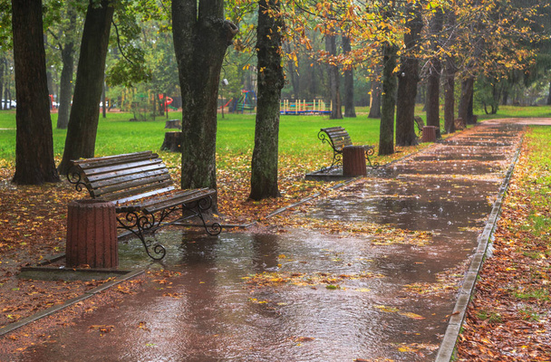 Camina bajo la lluvia en el parque de otoño. Ciudad de Boyarka. Región de Kiev, Ucrania. 17 octubre 2020 - Foto, imagen