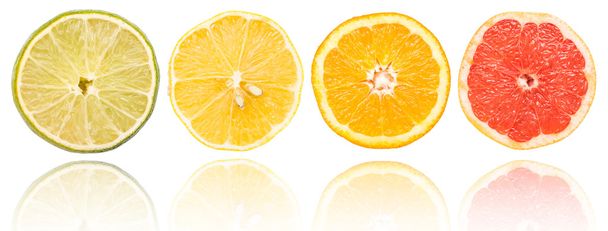 Citrus Fruits Slices Set - Photo, Image
