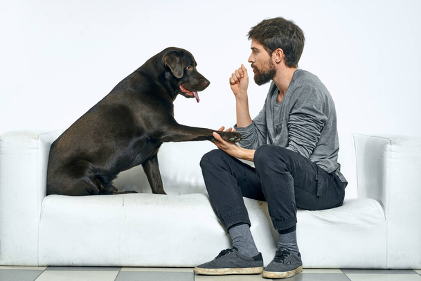 オーナーは白いソファの上で犬と遊ぶ明るい部屋で楽しいクローズアップクリップビューの友人ペット - 写真・画像