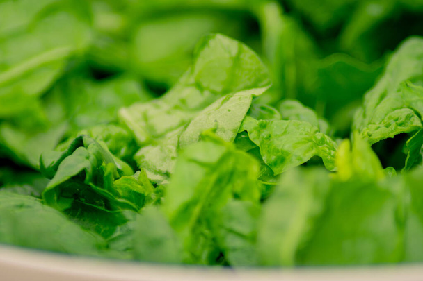 Close up shot of healthy green salad - Zdjęcie, obraz