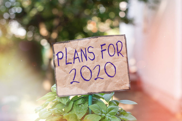 2020年の計画を示すメモを書く芝生の土地に固執し、配置するために接続された平野紙を行うことについての意図や決定を示すビジネス写真. - 写真・画像