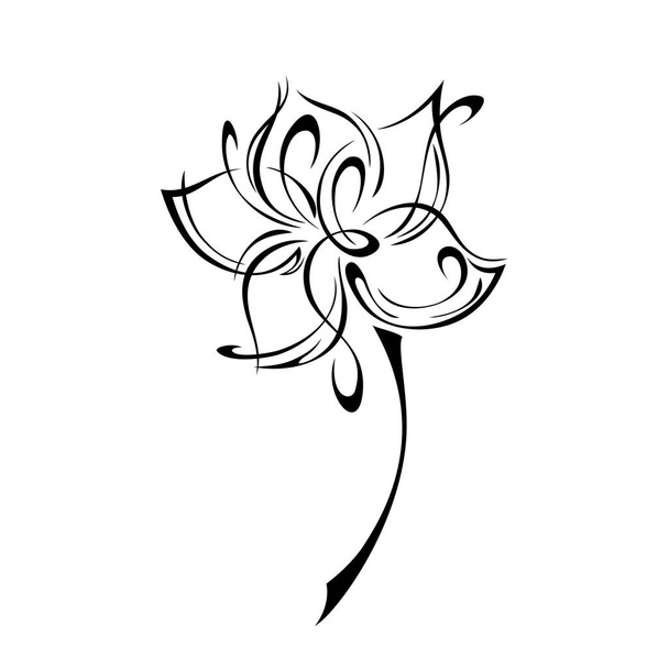 flor decorativa estilizada sobre un tallo corto en líneas negras sobre un fondo blanco - Vector, imagen