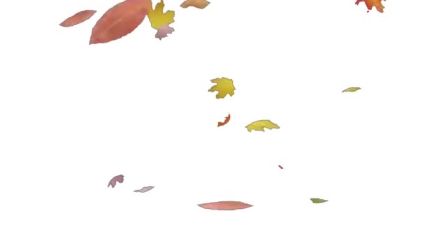Tiivistelmä 4K Leaf Falling saumaton silmukka 3D Alpha Channel Loop Animaatio. Abstrakti syksyn Maple Leafs Falling eristetty valkoisella pohjalla. Lehtien putoamistausta. - Materiaali, video