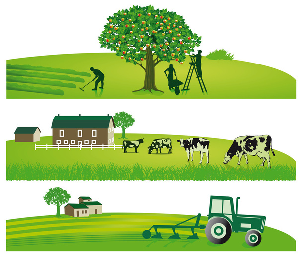 landbouw en tuin - Vector, afbeelding