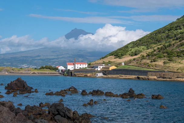 Spacer po archipelagu Azorów. Odkrycie wyspy Faial na Azorach. Portugalię. Europa. - Zdjęcie, obraz