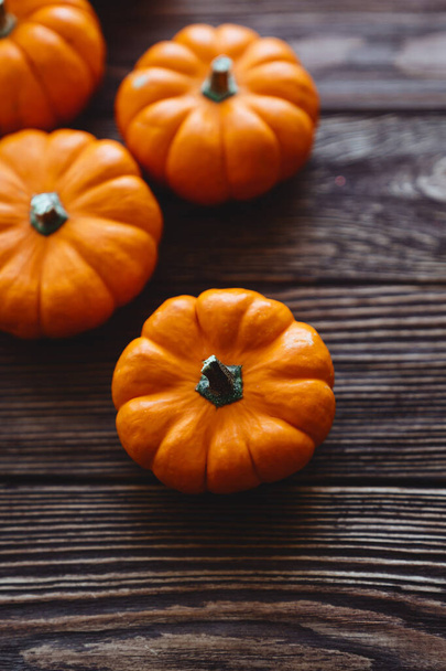 A group of miniature pumpkin - Фото, изображение