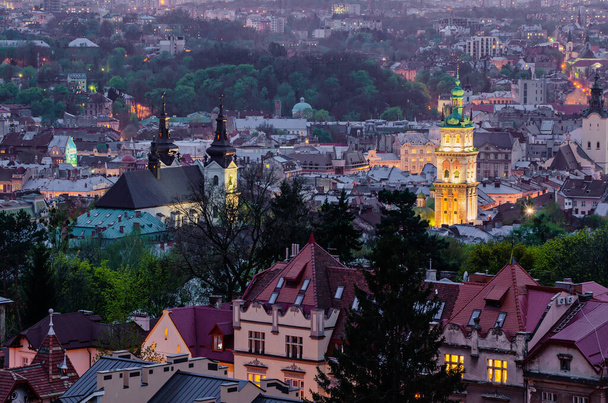 Night Lviv view - Фото, изображение