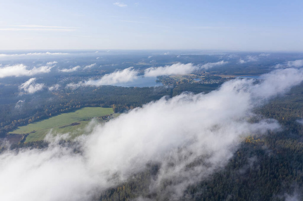 Αεροφωτογραφία του δάσους πεύκου και ελάτης στην ομίχλη νωρίς το πρωί. Μυστηριώδης νεφελώδης και ομιχλώδης καιρός. Ρωσική φύση. Drone πετά στα σύννεφα από πάνω. - Φωτογραφία, εικόνα
