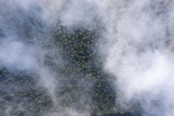 Αεροφωτογραφία του δάσους πεύκου και ελάτης στην ομίχλη νωρίς το πρωί. Μυστηριώδης νεφελώδης και ομιχλώδης καιρός. Ρωσική φύση. Drone πετά στα σύννεφα από πάνω. - Φωτογραφία, εικόνα