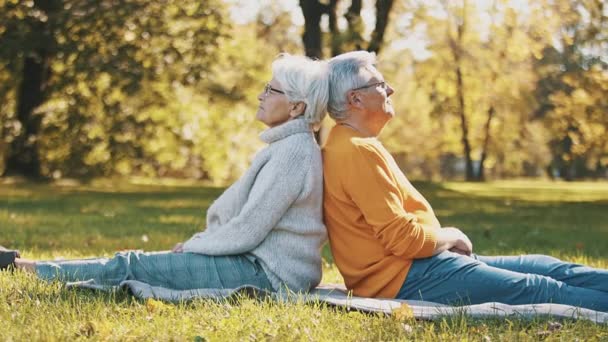 Romance a la vejez. Pareja jubilada mayor sentada espalda con espalda en el parque en otoño - Metraje, vídeo