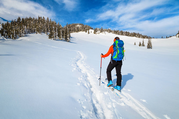 新鮮なパウダースノーでスポーティバックパッカーの女性は、深い雪の上でスキーツアー。山、カルパチア、トランシルヴァニア、ルーマニア、ヨーロッパでカラフルなバックパックを持つバックカントリースキー - 写真・画像
