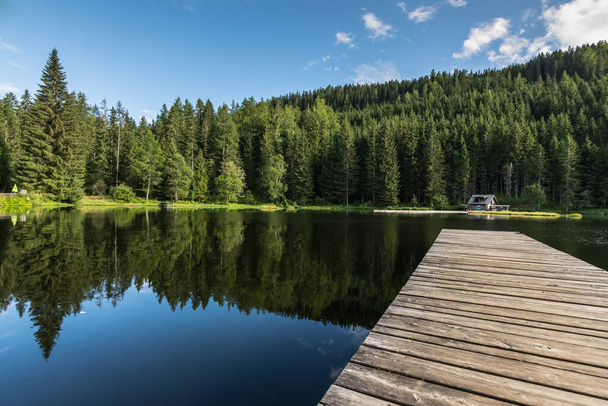 estanque reflectante con un embarcadero de madera en el bosque verde - Foto, Imagen