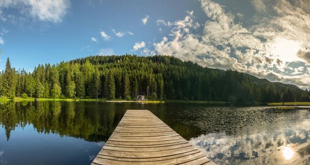 森のパノラマビューに木製の桟橋と池を反映 - 写真・画像