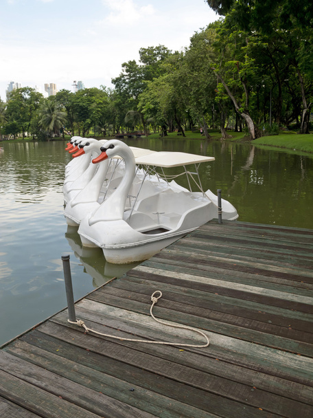 Педальних човнів
 - Фото, зображення