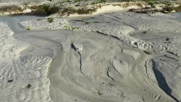 na ostrym pierwszym planie filmu obraz piasku otwory błotne z wodą. W celowo zamazanym tle, kolonia mew i fale na piaskownicy. Ten film jest idealny do dodawania własnych efektów - Materiał filmowy, wideo