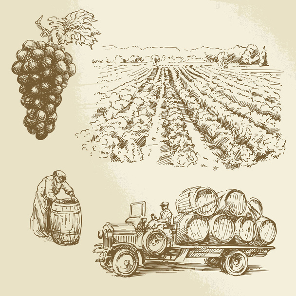 ブドウ園の収穫、ファーム - 手描き下ろしコレクション  - ベクター画像
