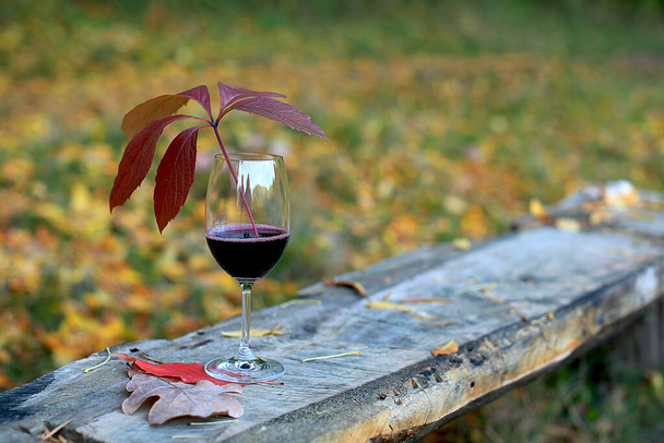 Un bicchiere di vino rosso secco in piedi su una panchina di legno in un parco autunnale su uno sfondo di foglie multicolori cadute. Nel bicchiere c'è una foglia rossa a forma di palma. - Foto, immagini
