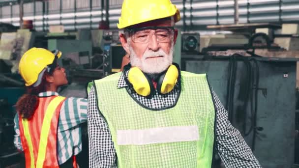 Senior fabrieksarbeider of ingenieur close-up portret in fabriek - Video