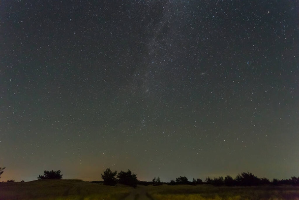 Ночное звездное небо над лесным силуэтом - Фото, изображение