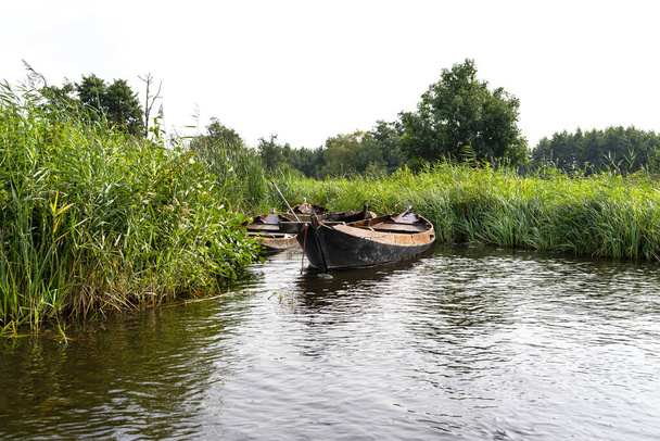 Opuszczona drewniana łódź stojąca w kanale między trzcinami. - Zdjęcie, obraz