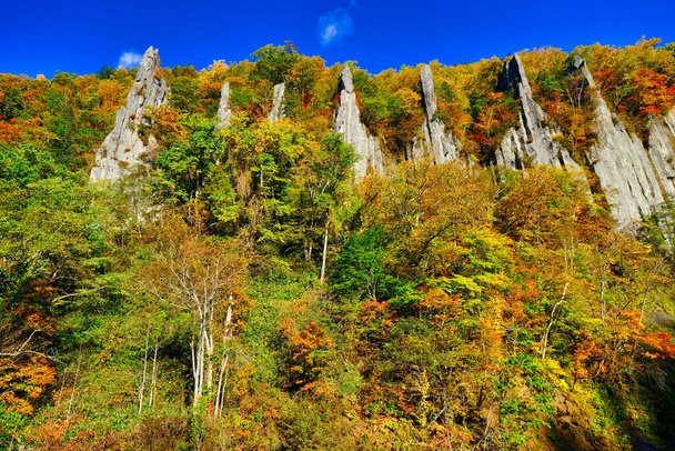 Φθινοπωρινά φύλλα σε απότομους λόφους - Φωτογραφία, εικόνα