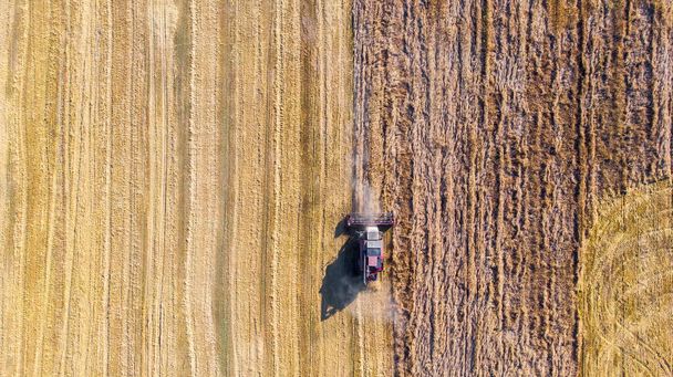 Ernte. Rote Erntehelfer arbeiten auf dem Feld. Luftaufnahme der Ernte von Weizen und Landmaschinen. Ansicht von oben. - Foto, Bild