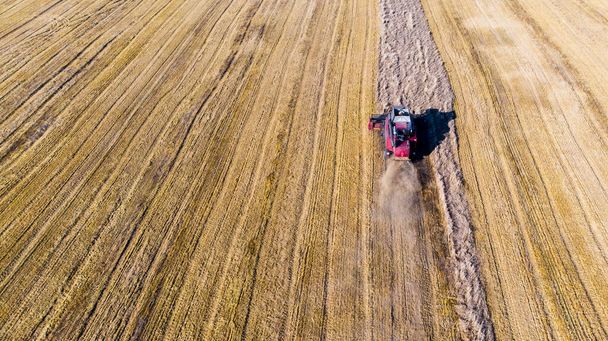 Урожай. Красные комбайны работают в поле. Вид с воздуха на уборку пшеницы и сельскохозяйственной техники. Вид сверху. - Фото, изображение