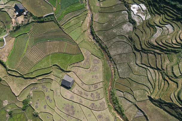 Рисовые поля, рисовая терраса Падди в Sa Pa Lao Cai Vietnam Asia Aerial Drone Photo Vie - Фото, изображение